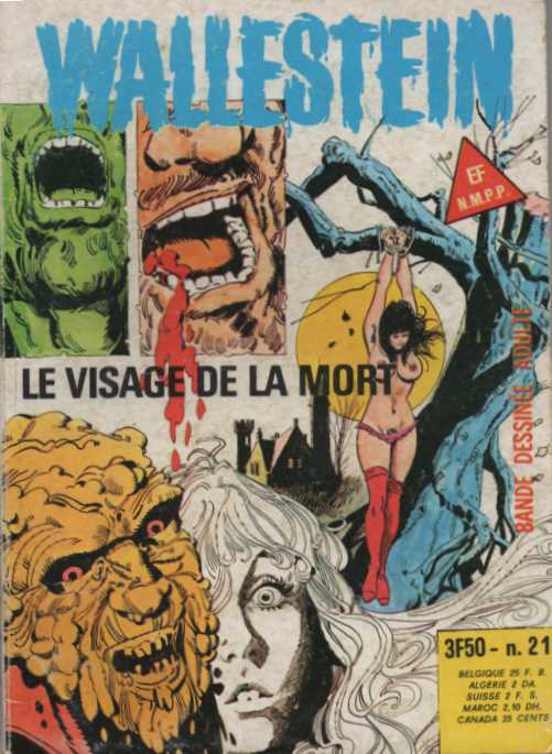 Scan de la Couverture Wallestein n 21